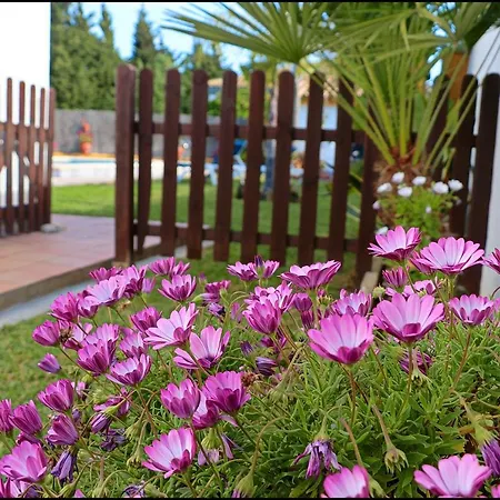 Con Piscina En Roche Viejo *