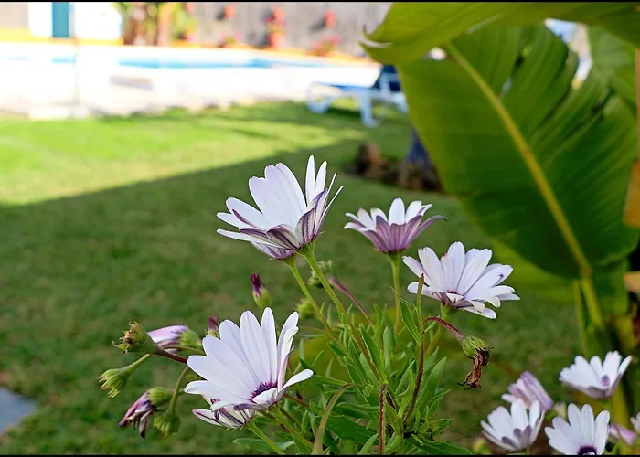 Con Piscina En Roche Viejo *