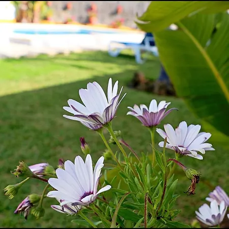 Con Piscina En Roche Viejo *