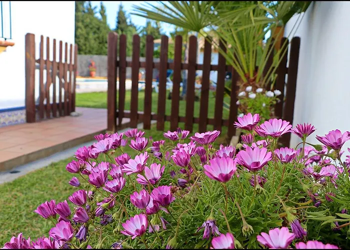 Con Piscina En Roche Viejo *